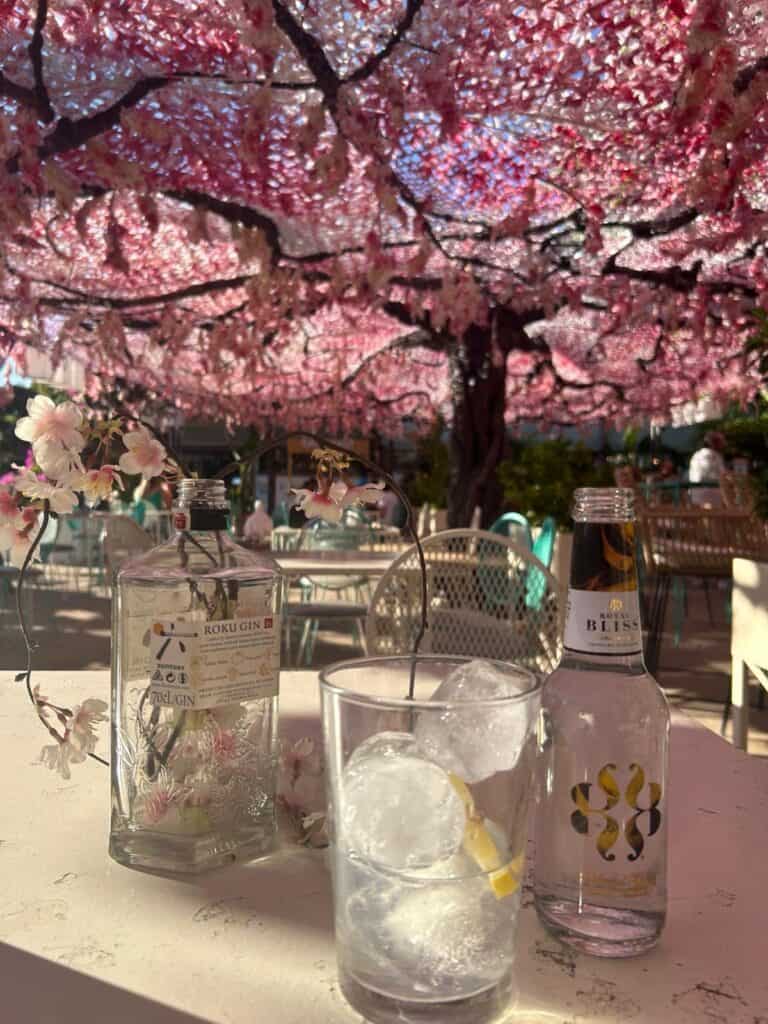 Drinks beneath a blossom-covered terrace in Seville